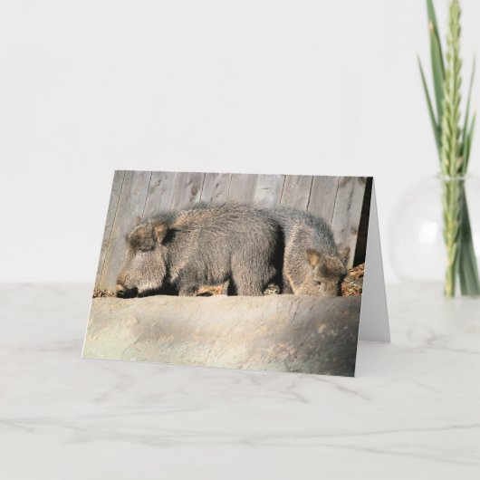 Schwindel Karte (Vorderseite)