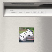 Schwindel Magnet (In Situ (Geschirrspüler))