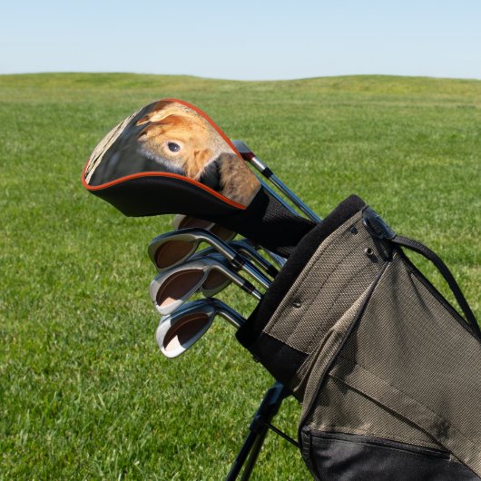 schwindlig golf headcover (In SItu)