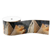 schwindlig ripsband (Spule)