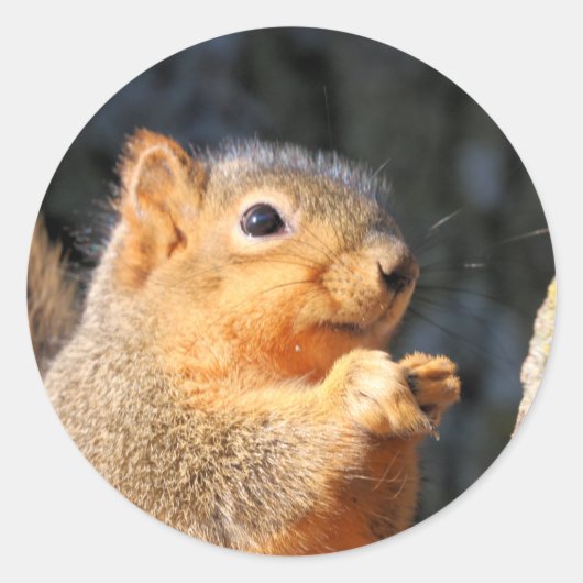 schwindlig runder aufkleber (Vorderseite)