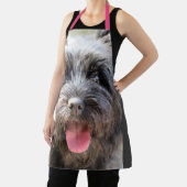 schwindlig schürze (InSitu)