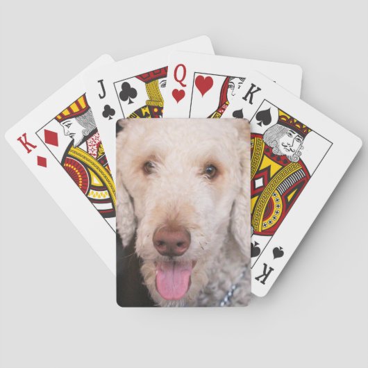 schwindlig spielkarten (Rückseite)