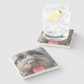 schwindlig steinuntersetzer (Seitenansicht)