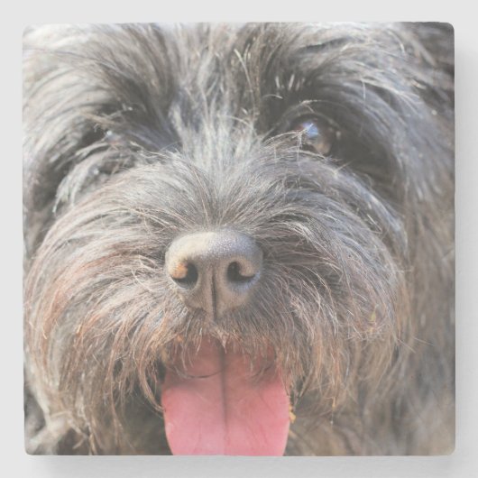 schwindlig steinuntersetzer (Vorderseite)