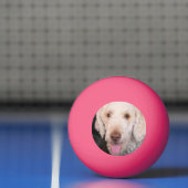 schwindlig tischtennisball (Netto)