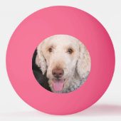 schwindlig tischtennisball (Rückseite)