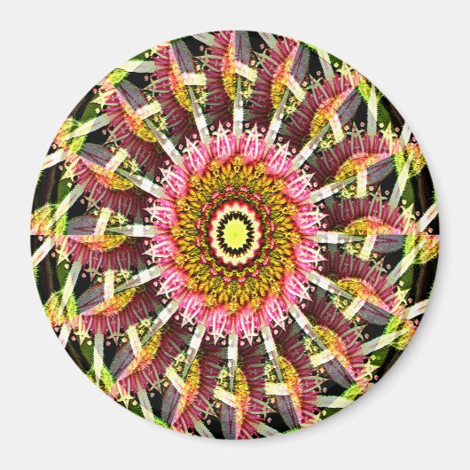 Schwirbelnde Blüten...... Magnet (Vorne)