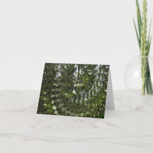 Schwirbelnde Hunde... Karte