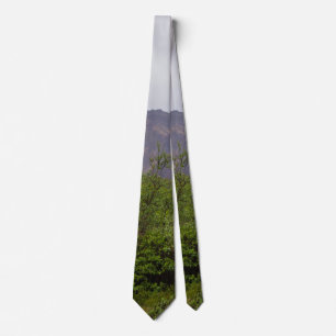 Schwirre Schönheit in Denali Neck Tie Krawatte