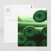 Schwucker Postkarte (Vorne/Hinten)