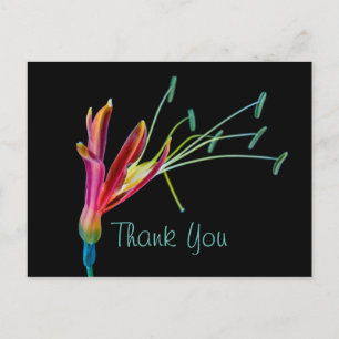 Schwule Regenbogenfarben Floral Danke Postkarte