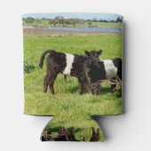 Schwulenkühe im Mutterland, Dosenkühler (Rückseite)