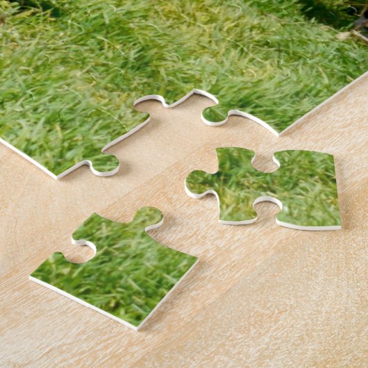 Schwulenkühe im Mutterland, Puzzle (Seite)