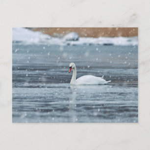 Schwung bei den schneebedeckten Winterbedingungen Postkarte