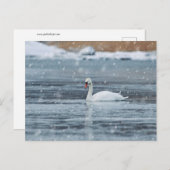 Schwung bei den schneebedeckten Winterbedingungen Postkarte (Vorne/Hinten)