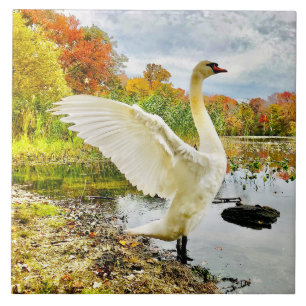 Schwung und Fall Keramik Tile Fliese