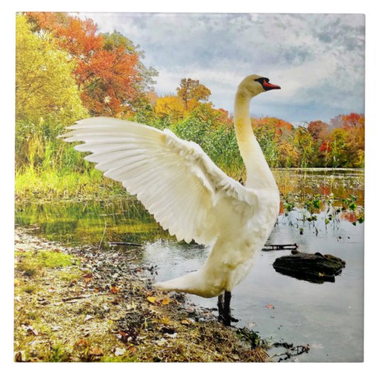 Schwung und Fall Keramik Tile Fliese (Vorderseite)