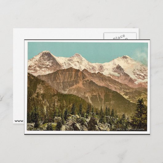 Schynige Platte, Eiger, Monch und Jungfrau, Bernes Postkarte (Vorne/Hinten)