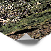 Schynige Platte Poster (Ecke)