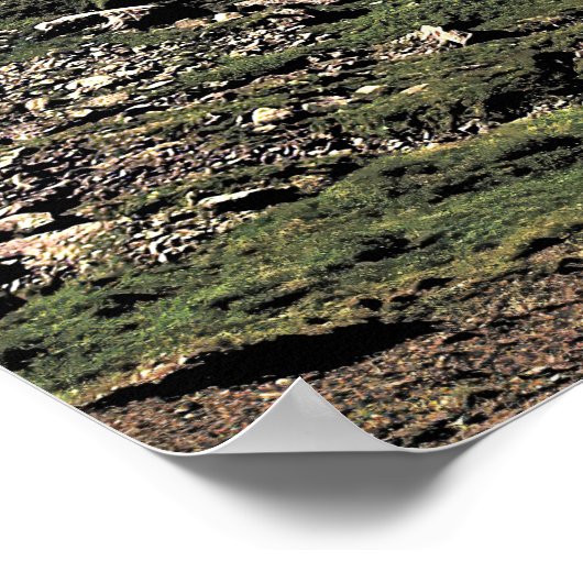 Schynige Platte Poster (Ecke)