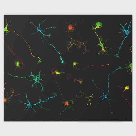 science geschenkpapier (Flach)