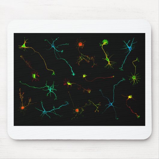 science mousepad (Vorne)