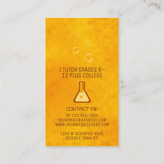 Science Private Tutor Moskito in Amber Fossil Visitenkarte (Rückseite)