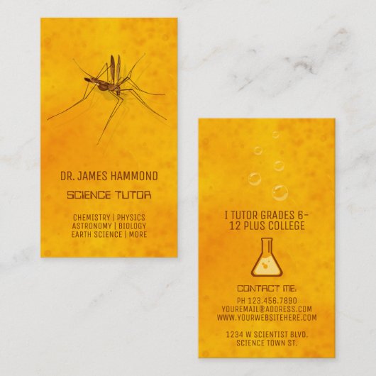 Science Private Tutor Moskito in Amber Fossil Visitenkarte (Vorne/Hinten)