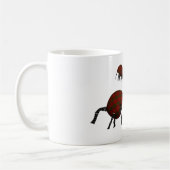 Scientific classification for the Bagodoedel Kaffeetasse (Links)