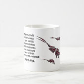 Scientific classification for the brill krill  kaffeetasse (Mittel)