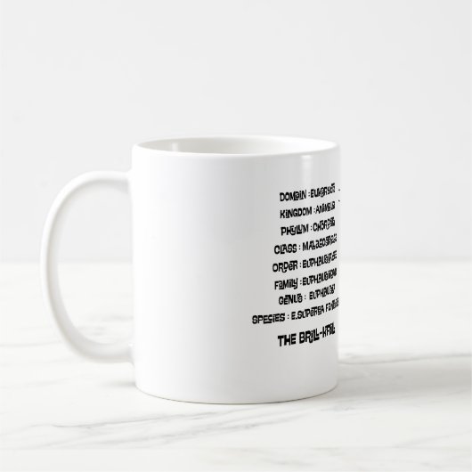 Scientific classification for the brill krill  kaffeetasse (Links)