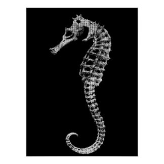 Scientific Seahorse Skeleton Poster
