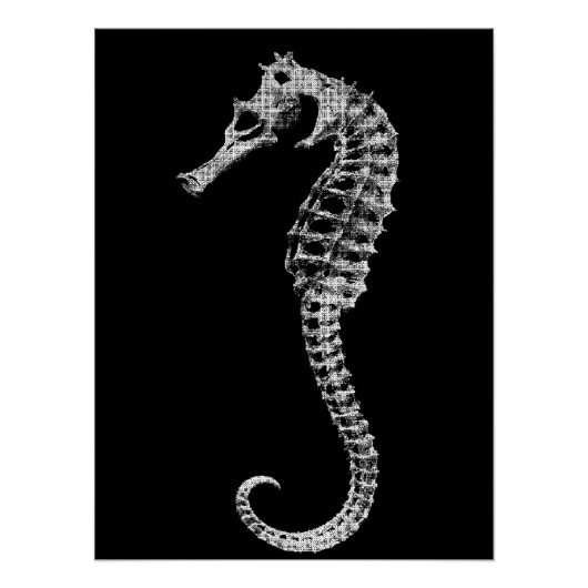 Scientific Seahorse Skeleton Poster (Vorderseite)