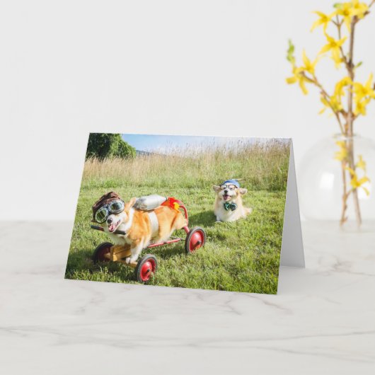 Scientist Corgis auf einem Hügel Blankogrüße Karte (Gelbe Blume)