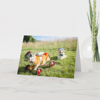 Scientist Corgis auf einem Hügel Blankogrüße Karte