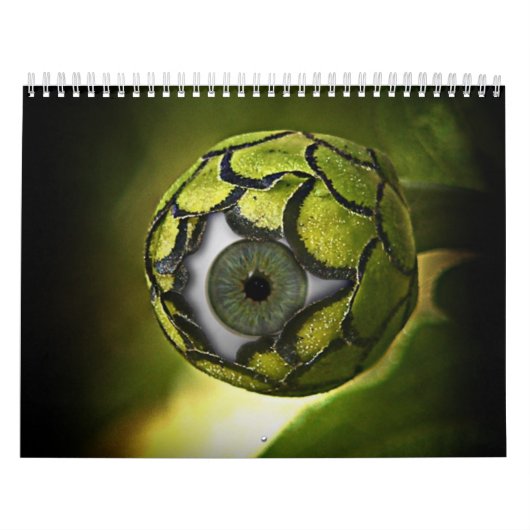 " SciFi " Kalender (Titelbild)