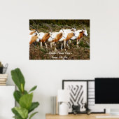 Scimitar Horned Oryx Poster Print (Heimbüro)