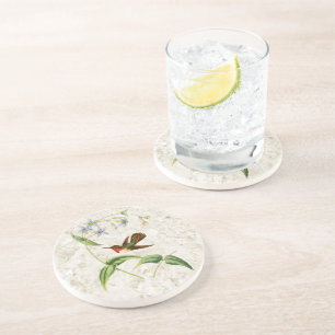 Scintillant Kolibri-Sandstein-Untersetzer Sandstein Untersetzer