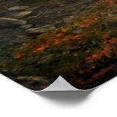 Scion of the Wild Poster (Ecke)