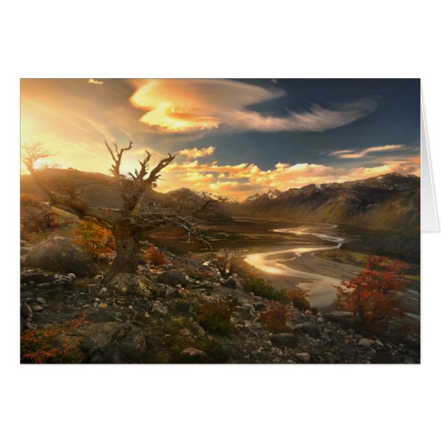 Scion vom wilden (Vorderseite (Horizontal))
