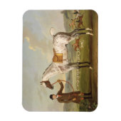 Scipio, Gepunkteter Jäger von Oberst Roche, c.1750 Magnet (Vertikal)