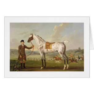 Scipio, Oberst Roches Spotted Hunter, c.1750 (oi
