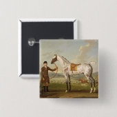 Scipio, Oberst Roches Spotted Hunter, c.1750 (oi Button (Vorne & Hinten)