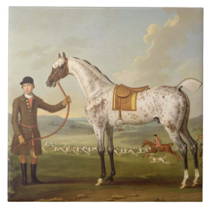 Scipio, Oberst Roches Spotted Hunter, c.1750 (oi Fliese