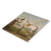 Scipio, Oberst Roches Spotted Hunter, c.1750 (oi Fliese (Seite)