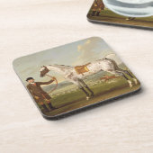 Scipio, Oberst Roches Spotted Hunter, c.1750 (oi Getränkeuntersetzer (Linke Seite)