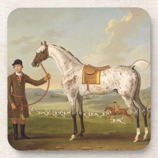 Scipio, Oberst Roches Spotted Hunter, c.1750 (oi Getränkeuntersetzer (Vorderseite)