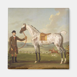 Scipio, Oberst Roches Spotted Hunter, c.1750 (oi Magnet