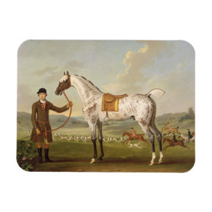 Scipio, Oberst Roches Spotted Hunter, c.1750 (oi Magnet